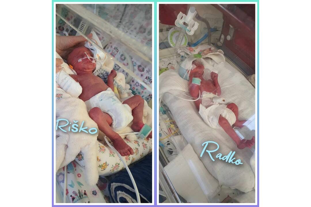 FOTO: Všetkým trom sa darí výborne, foto 2