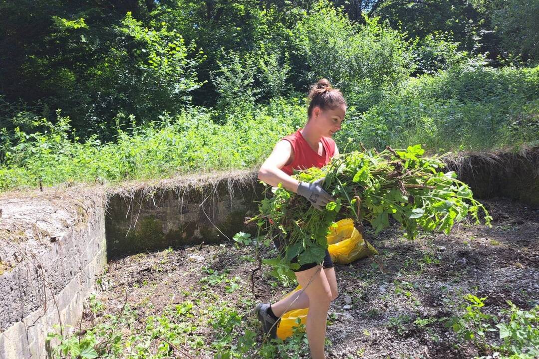 FOTO: Komunitná záhrada v Handlovej, foto 3