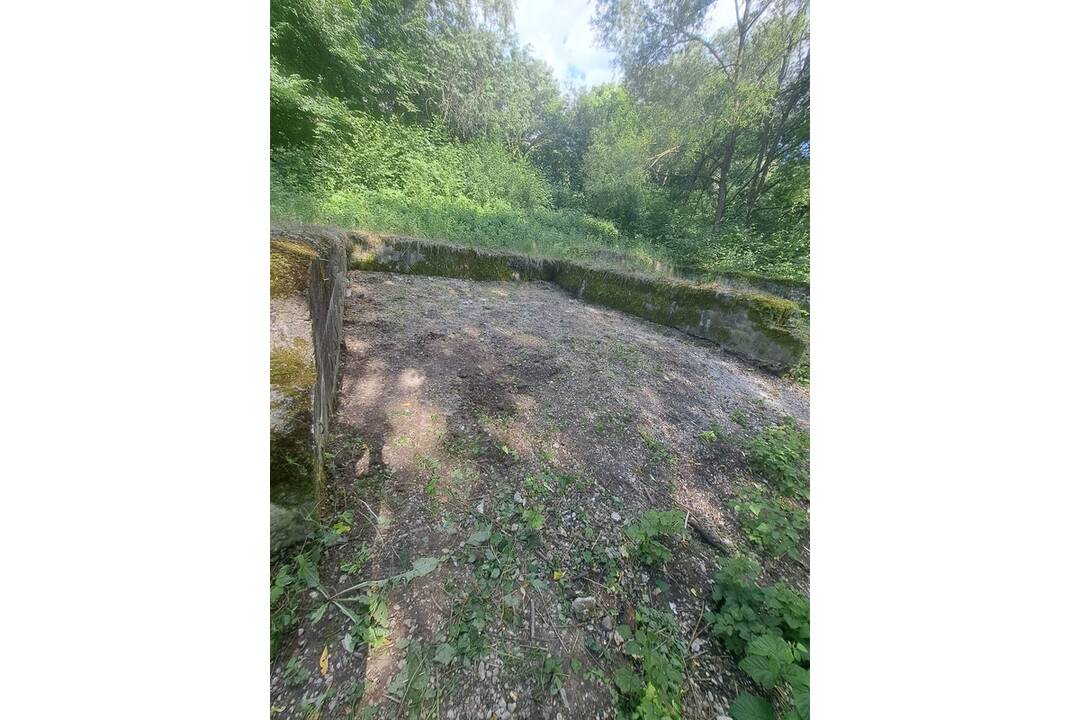 FOTO: Komunitná záhrada v Handlovej, foto 4