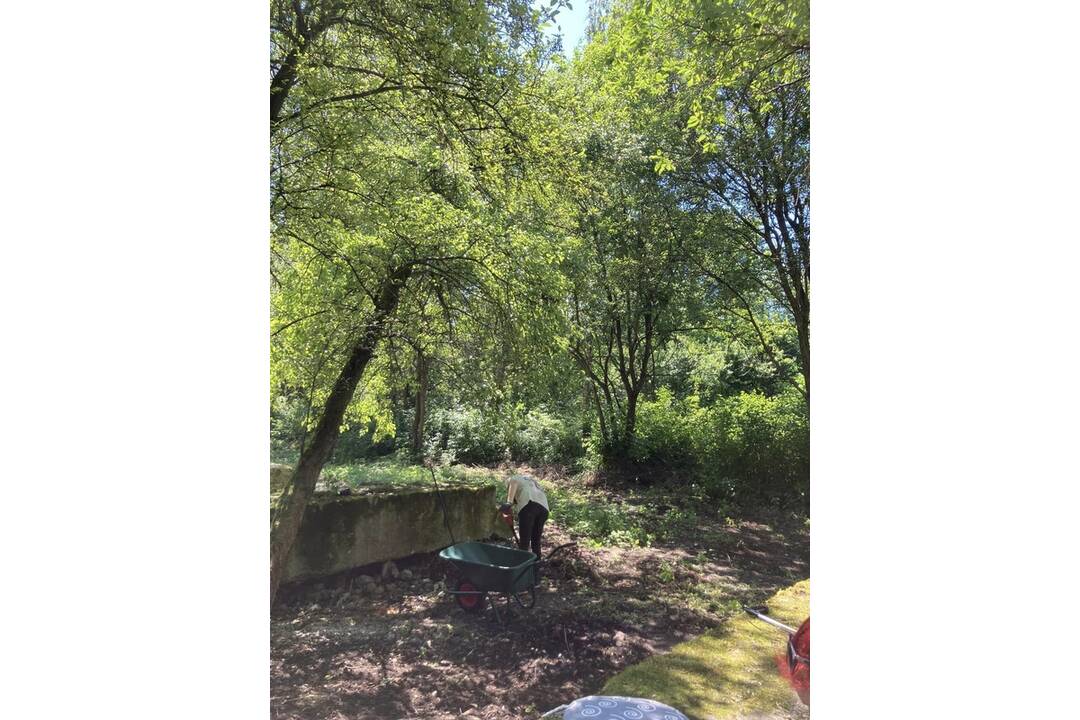 FOTO: Komunitná záhrada v Handlovej, foto 5