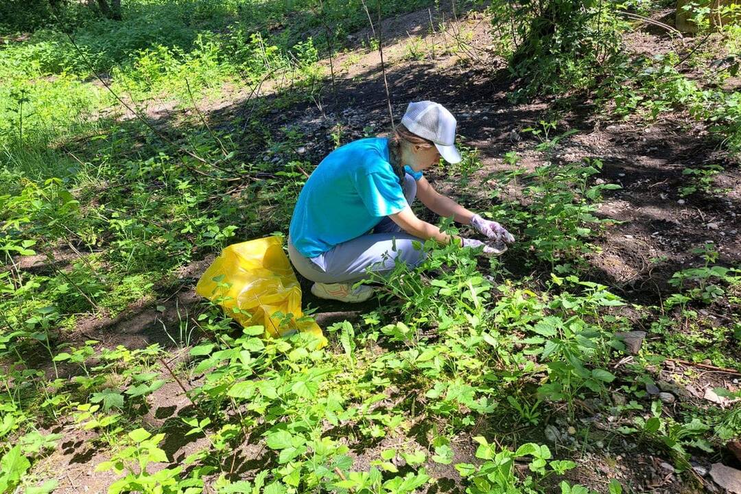 FOTO: Komunitná záhrada v Handlovej, foto 8