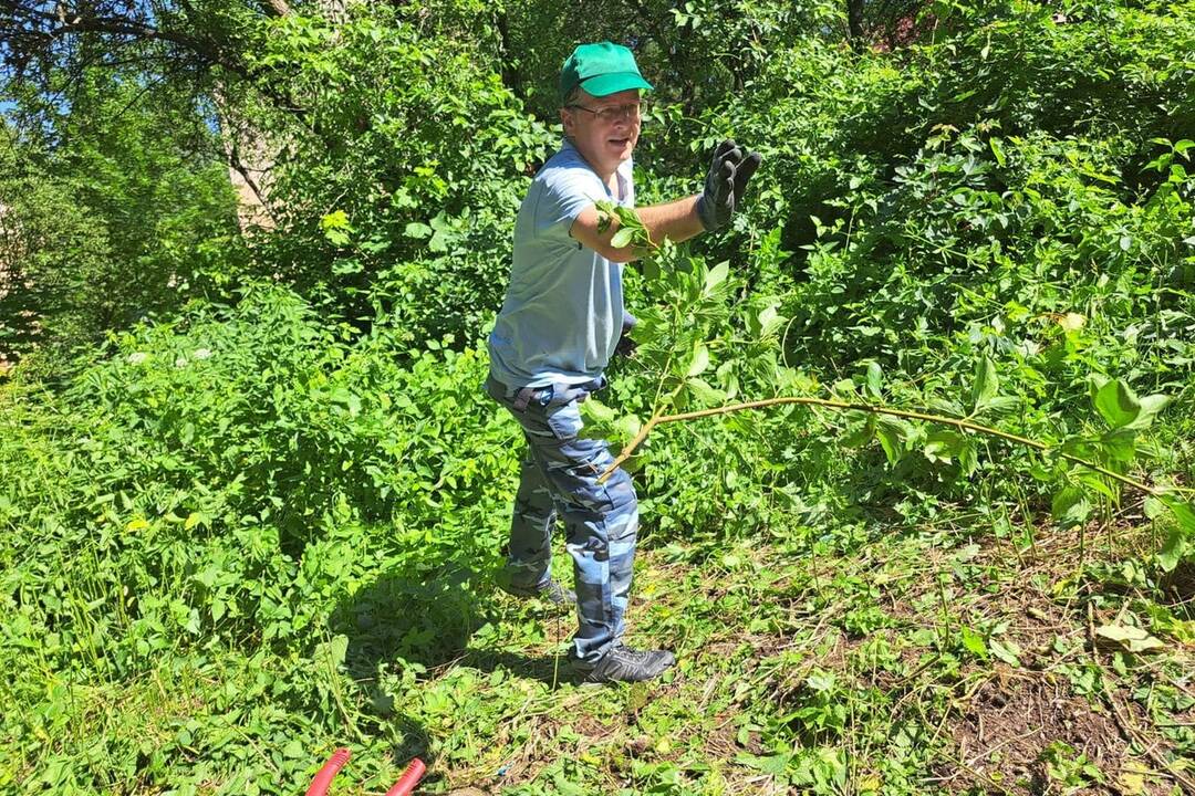 FOTO: Komunitná záhrada v Handlovej, foto 10