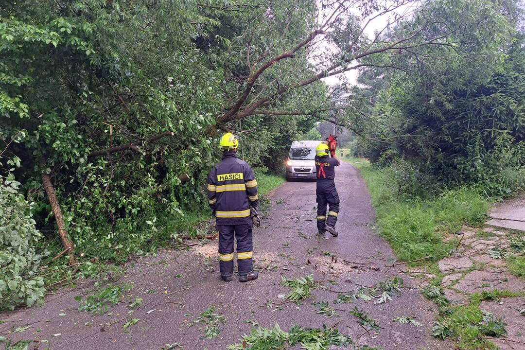 FOTO: Museli píliť strom aj opravovať elektrické vedenie, foto 2
