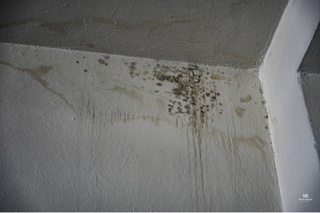 FOTO: Do školy v Novom Meste nad Váhom dlhodobo zateká, foto 1