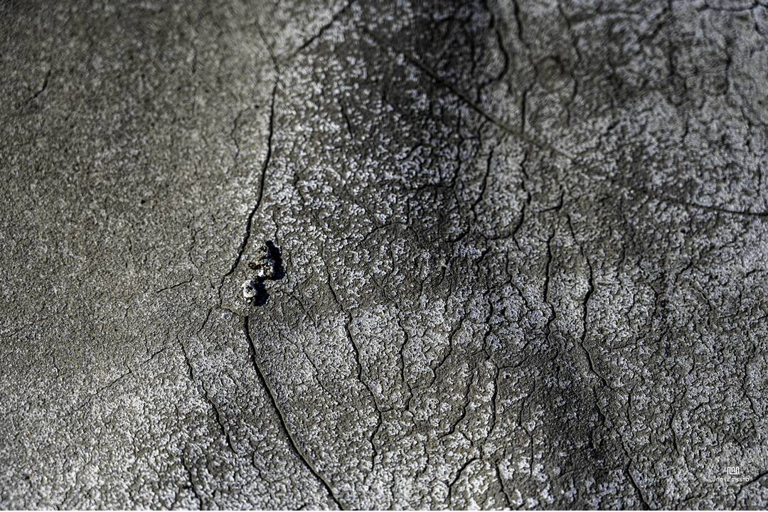 FOTO: Do školy v Novom Meste nad Váhom dlhodobo zateká, foto 18