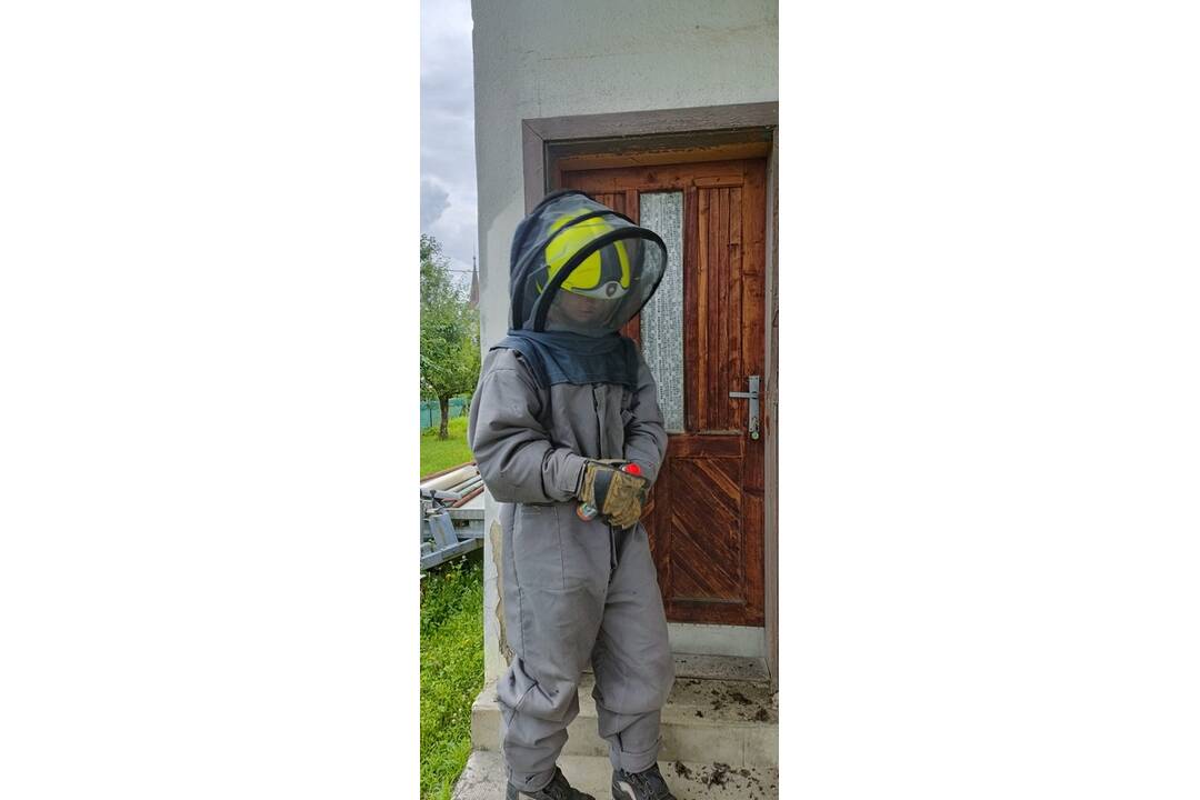 FOTO: Hasiči z Nitrianskeho Pravna vyrazili kvôli hmyzu do Malinovej, foto 3