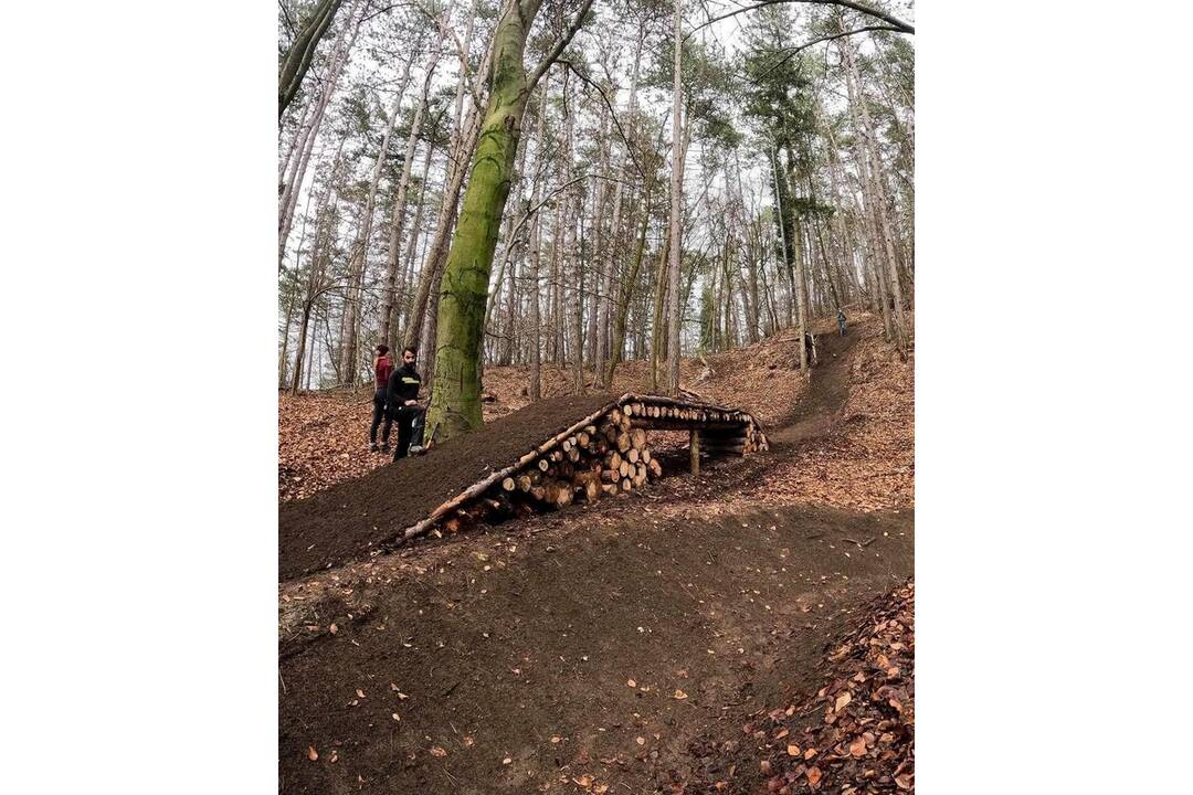 FOTO: Cyklisti a chodci majú konflikty kvôli nebezpečným stretom v lesoparku , foto 2