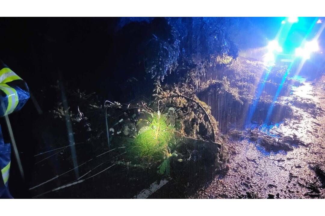 FOTO: Škody po búrke v Trenčíne, foto 4