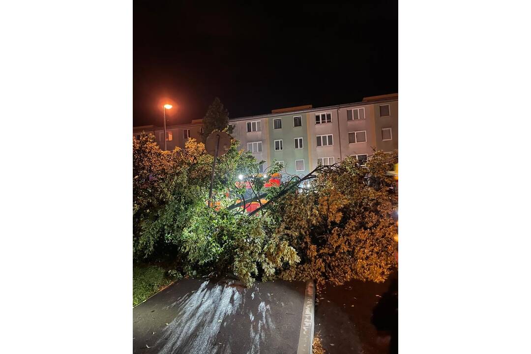 FOTO: Škody po búrke v Trenčíne, foto 10