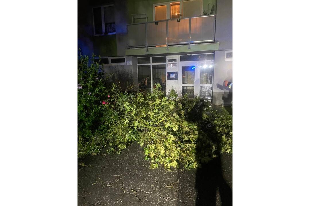 FOTO: Škody po búrke v Trenčíne, foto 11