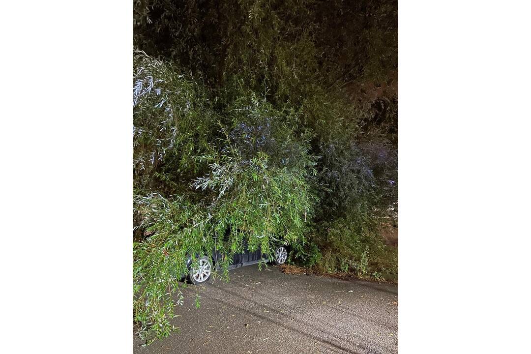 FOTO: Škody po búrke v Trenčíne, foto 12