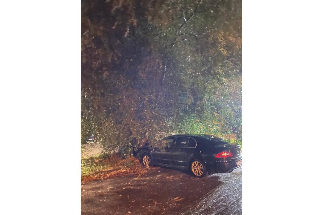 FOTO: Škody po búrke v Trenčíne, foto 14