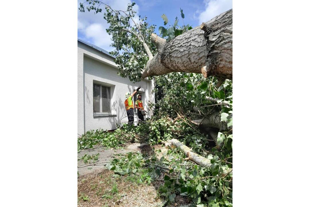 FOTO: Škody po búrke v Trenčíne, foto 16
