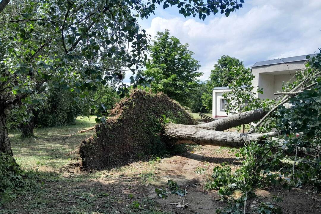 FOTO: Škody po búrke v Trenčíne, foto 17