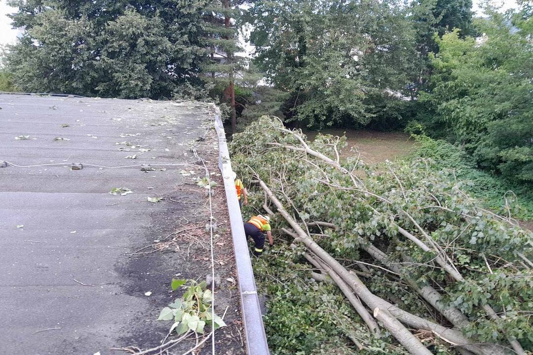 FOTO: Škody po búrke v Trenčíne, foto 18