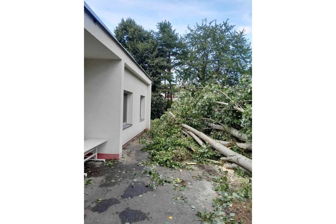 FOTO: Škody po búrke v Trenčíne, foto 20