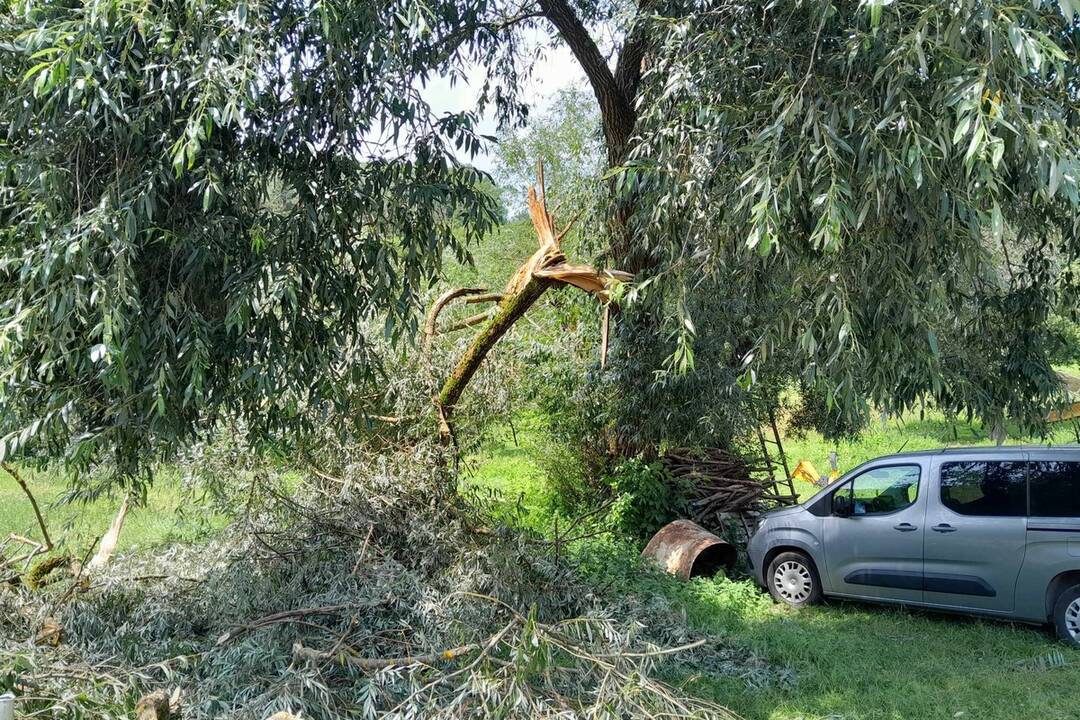 FOTO: Škody po búrke v Trenčíne, foto 21