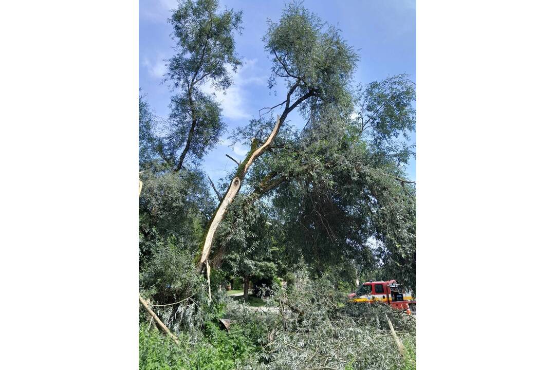 FOTO: Škody po búrke v Trenčíne, foto 22