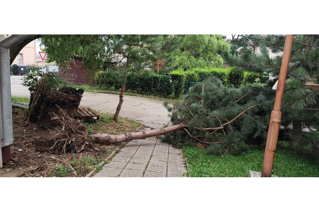 FOTO: Škody po búrke v Trenčíne, foto 23