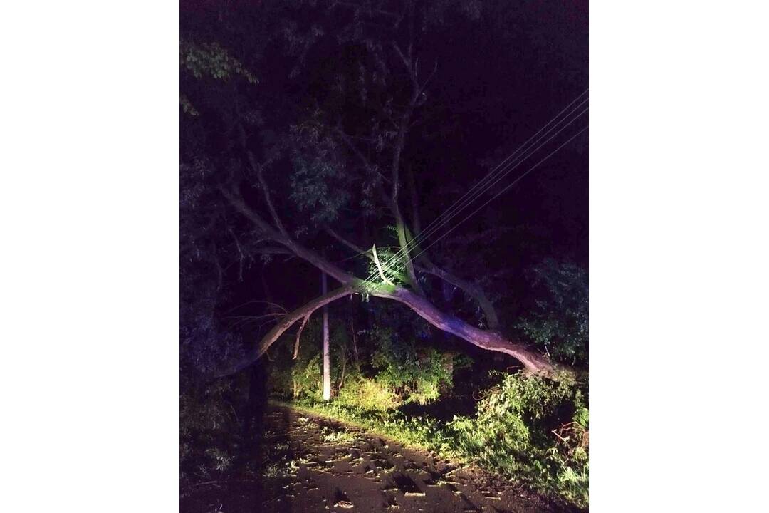 FOTO: Škody po búrke v Trenčíne, foto 24