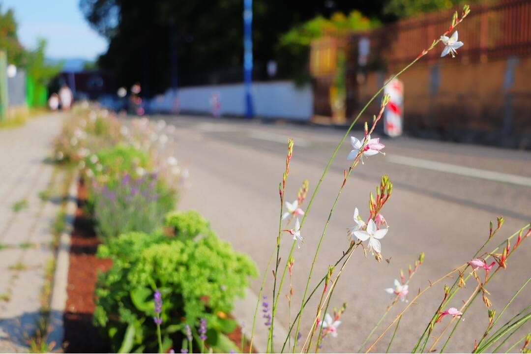 FOTO: Oprava chodníka v Dubnici nad Váhom, foto 7