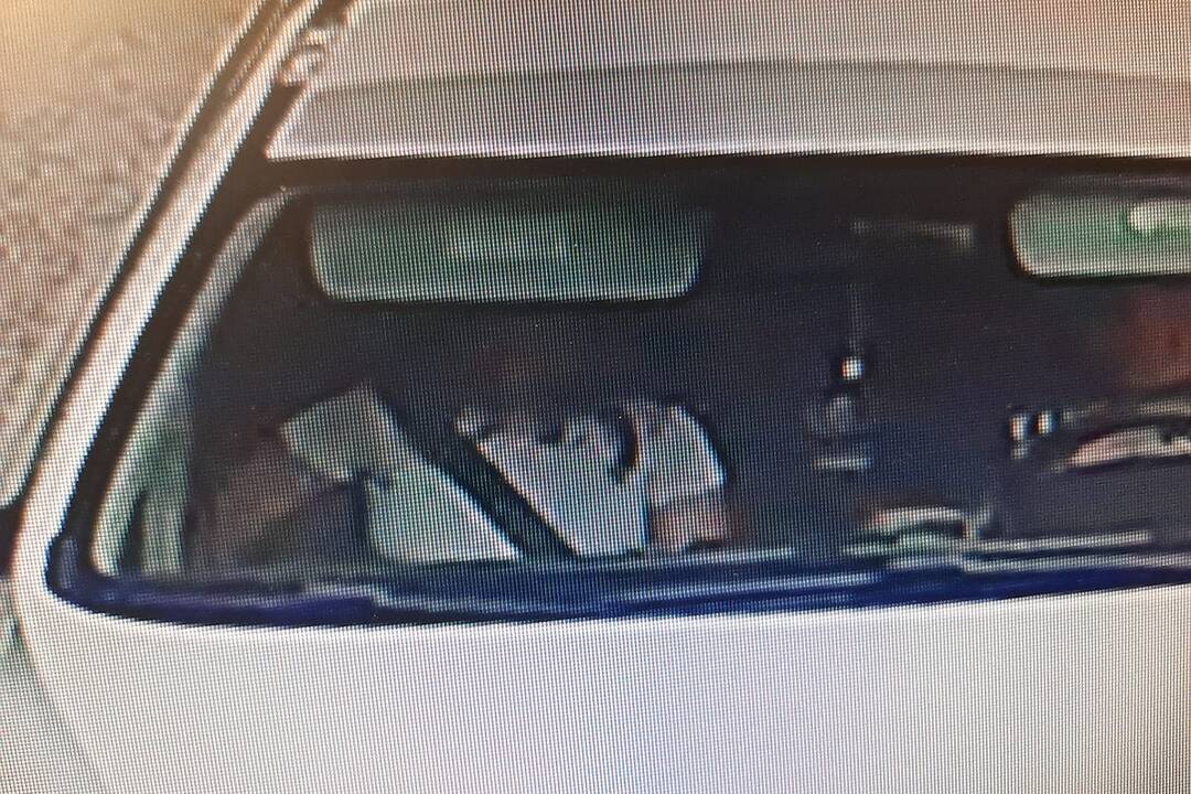 FOTO: Zlodeji v Dubnici nad Váhom, foto 2