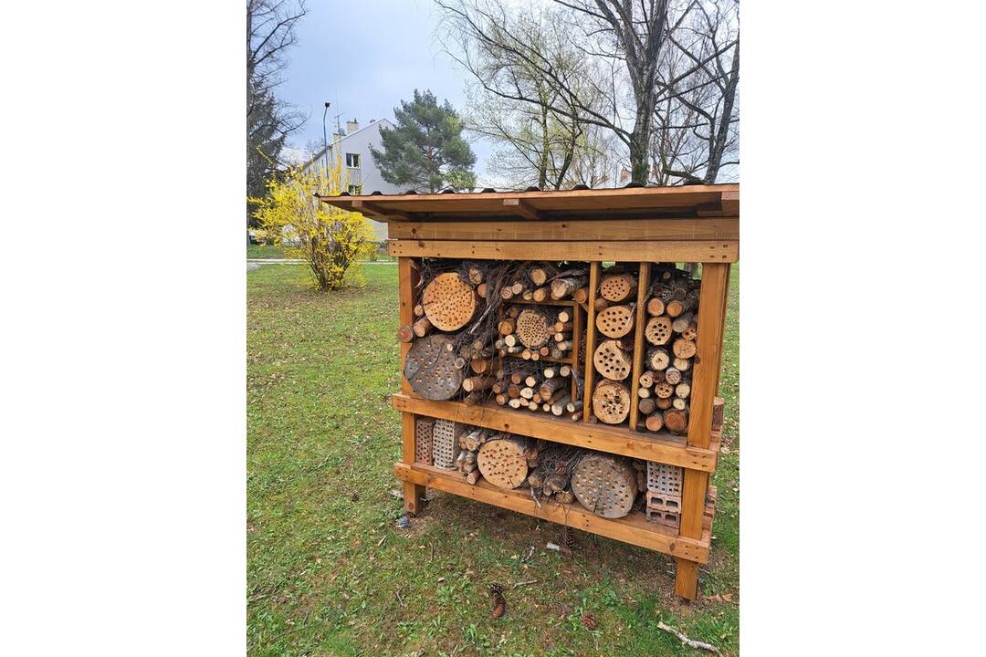 FOTO: Zelené školy v Trenčianskom kraji, foto 7