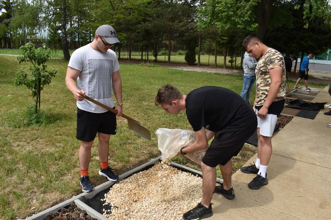 FOTO: Zelené školy v Trenčianskom kraji, foto 8