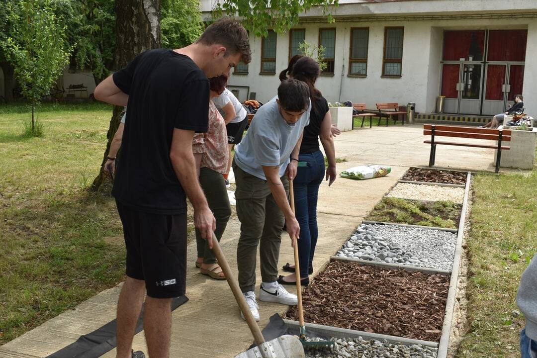 FOTO: Zelené školy v Trenčianskom kraji, foto 1