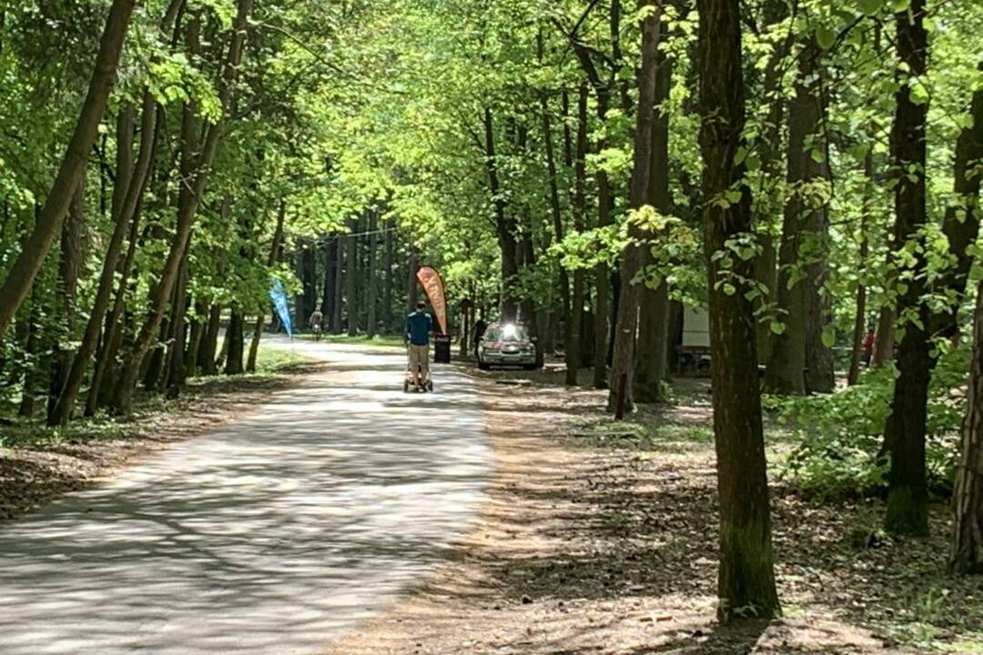 FOTO: Pes môže chodiť bez vodítka, len ak okamžite poslúchne na odvolanie, foto 4