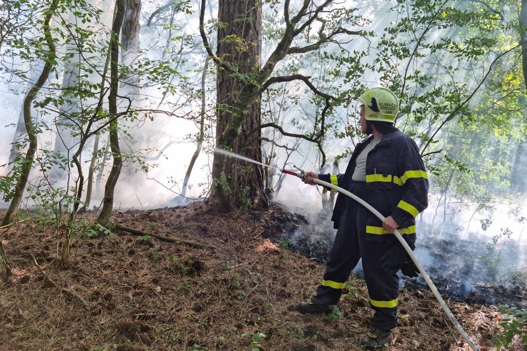 FOTO: Rýchly zásah hasičov zabránil rozšíreniu požiaru v staroturianskych letoch, foto 3