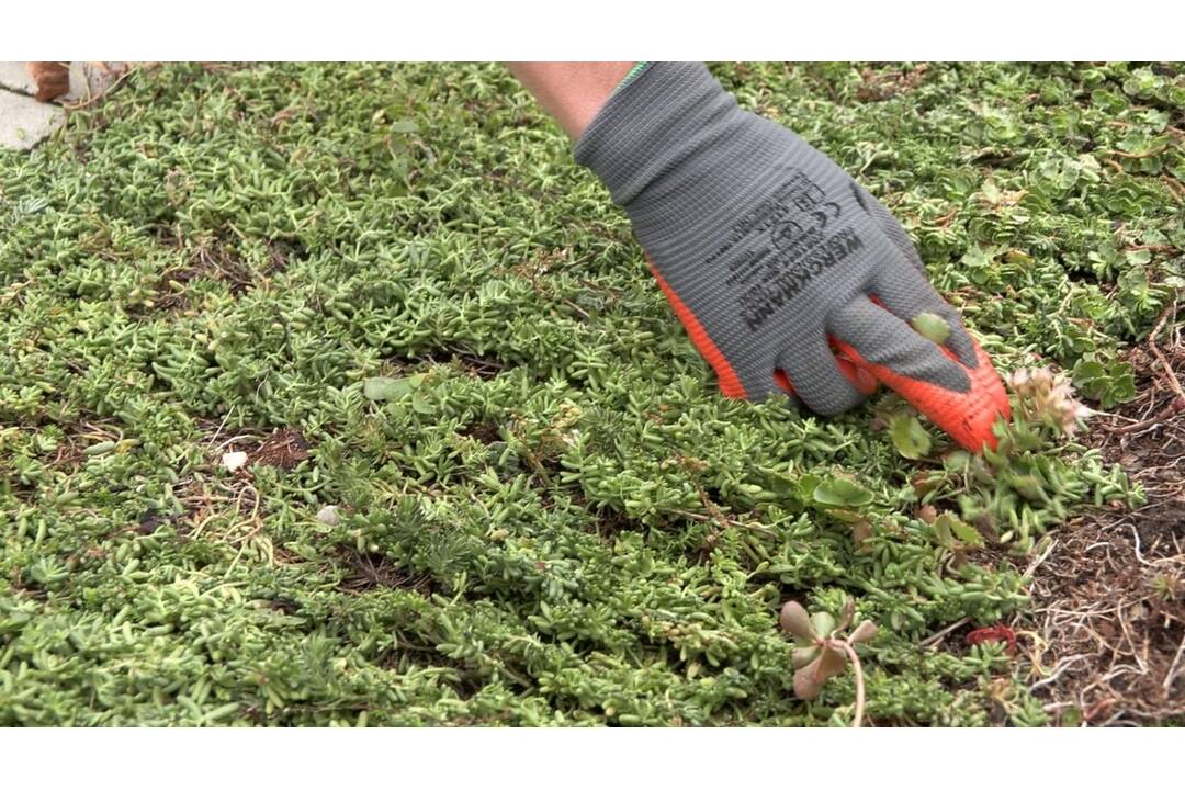 FOTO: Na základnej škole v Partizánskom pribudne zelená strecha, foto 1