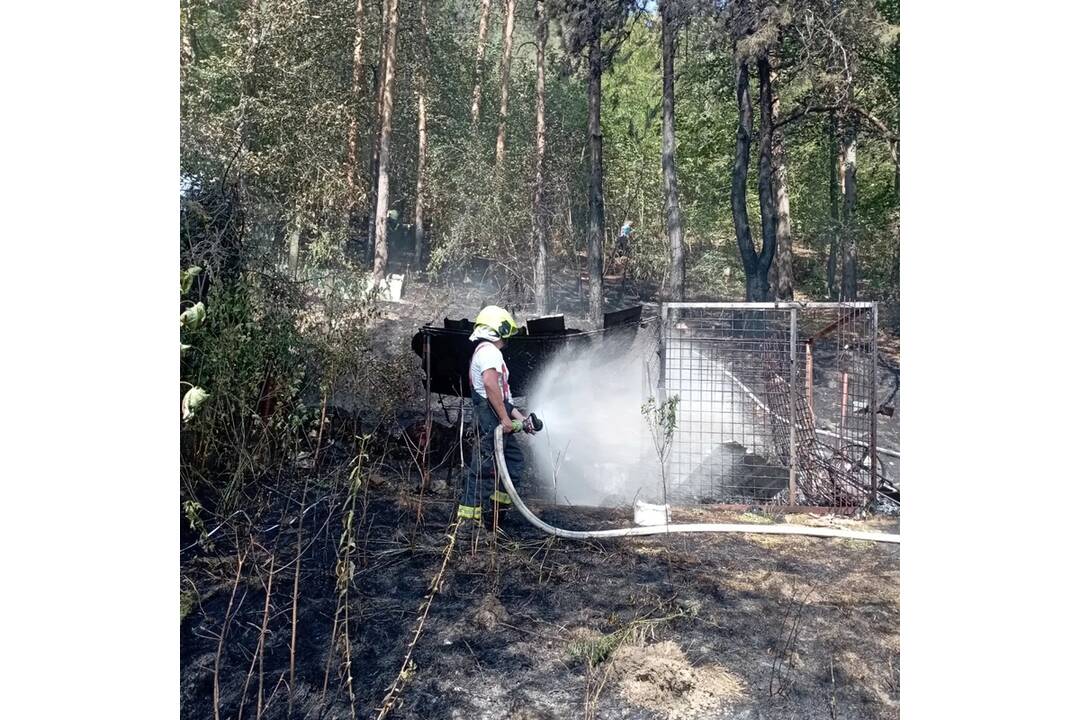 FOTO: Požiar borovicového lesa v Novej Dubnici. Hasičom sa podarilo uchrániť chatky, foto 4