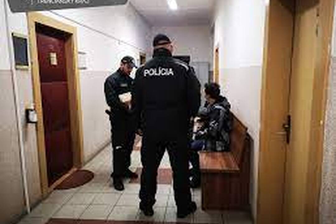 FOTO: Mužovi rozťal hlavu mačetou, no aj tak išiel zo súdu rovno na slobodu, foto 2