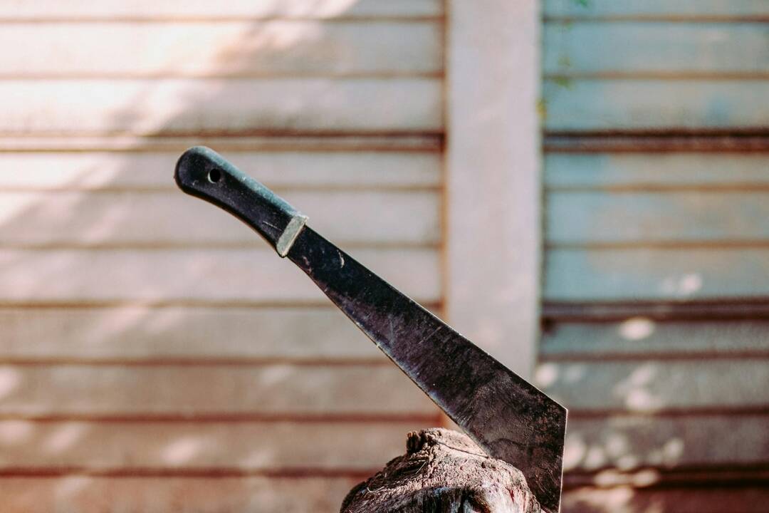 FOTO: Mužovi rozťal hlavu mačetou, no aj tak išiel zo súdu rovno na slobodu, foto 3