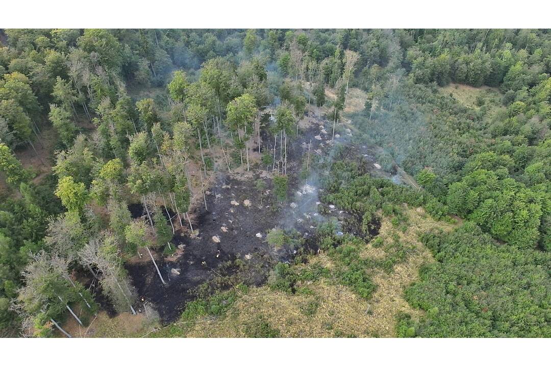 FOTO: V obci Veľké Uherce horelo. Požiar lesného porastu hasilo vyše 50 hasičov, foto 3