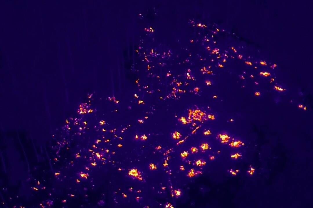 FOTO: V obci Veľké Uherce horelo. Požiar lesného porastu hasilo vyše 50 hasičov, foto 4