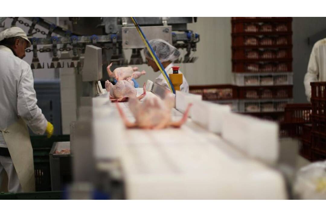 FOTO: Investor plánuje postaviť v Bošanoch výrobnú halu, foto 1