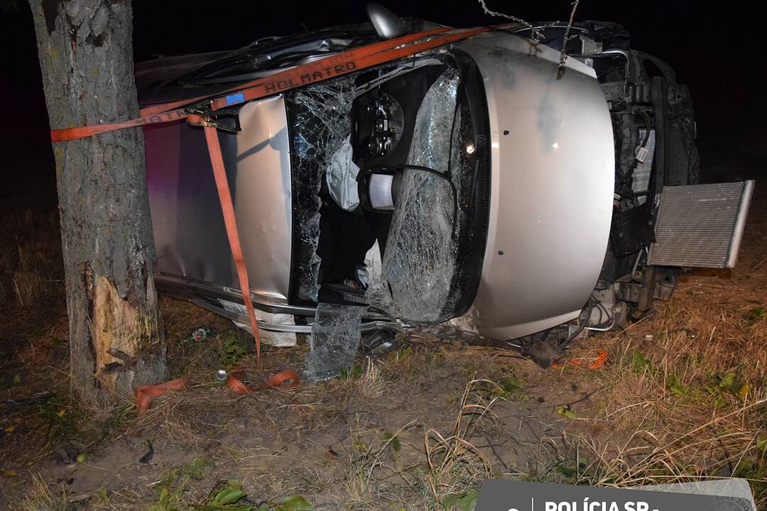 FOTO: Mladý vodič zišiel z cesty a nabúral rovno do stromu, foto 2