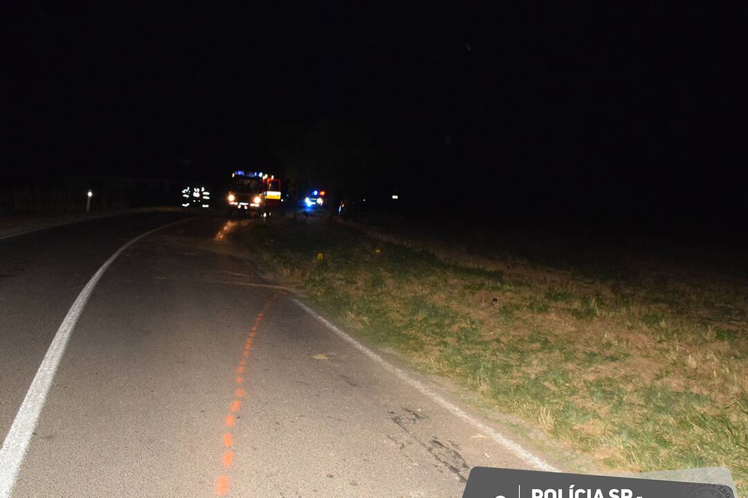 FOTO: Mladý vodič zišiel z cesty a nabúral rovno do stromu, foto 3