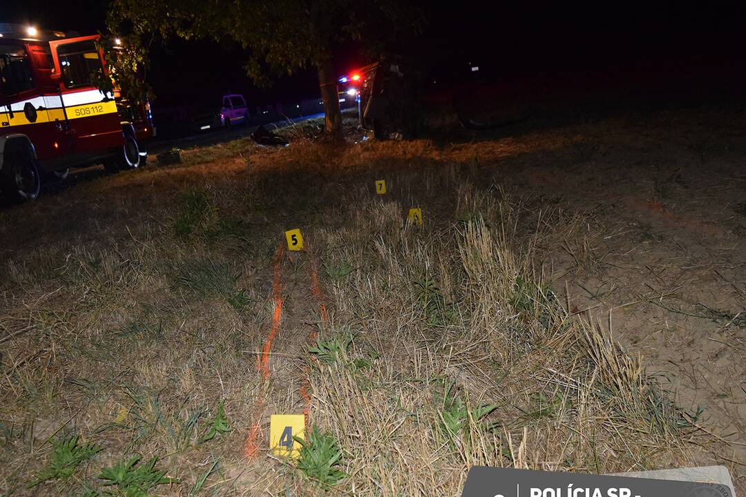 FOTO: Mladý vodič zišiel z cesty a nabúral rovno do stromu, foto 5