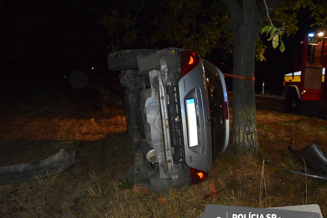 FOTO: Mladý vodič zišiel z cesty a nabúral rovno do stromu, foto 6