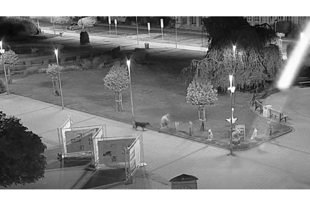 FOTO: Zvláštny incident v Partizánskom. Muž rozmlátil makety Bratislavského hradu, foto 6