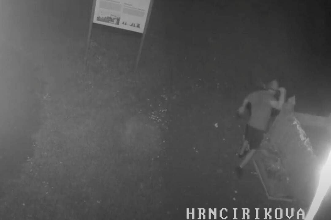 FOTO: Zvláštny incident v Partizánskom. Muž rozmlátil makety Bratislavského hradu, foto 7