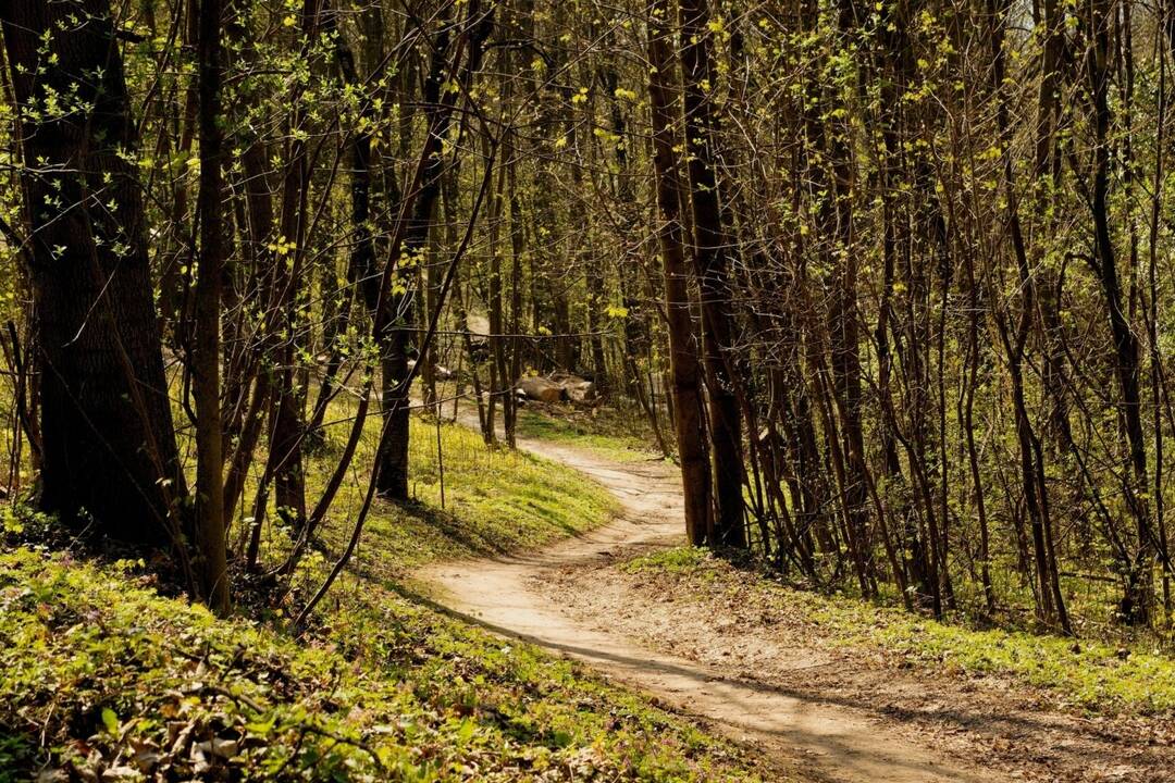 FOTO: Trenčín pripravuje zmeny parkovania na Brezine, foto 4