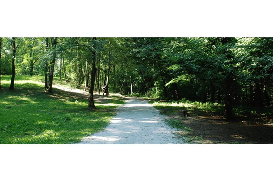 FOTO: Trenčín pripravuje zmeny parkovania na Brezine, foto 5