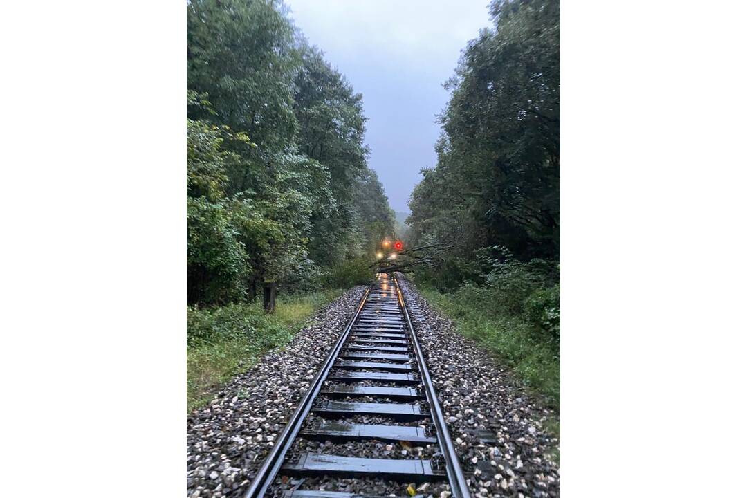 FOTO: Hasiči Trenčianskeho kraja odstraňovali spadnutý strom na železničnom priecestí pri Trenčíne, foto 1