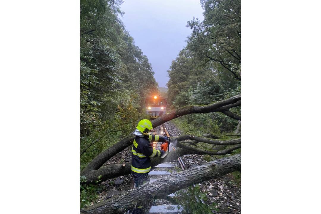 FOTO: Hasiči Trenčianskeho kraja odstraňovali spadnutý strom na železničnom priecestí pri Trenčíne, foto 3