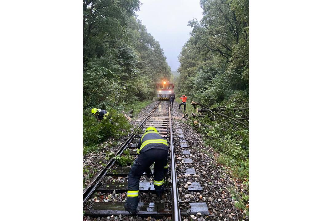 FOTO: Hasiči Trenčianskeho kraja odstraňovali spadnutý strom na železničnom priecestí pri Trenčíne, foto 4