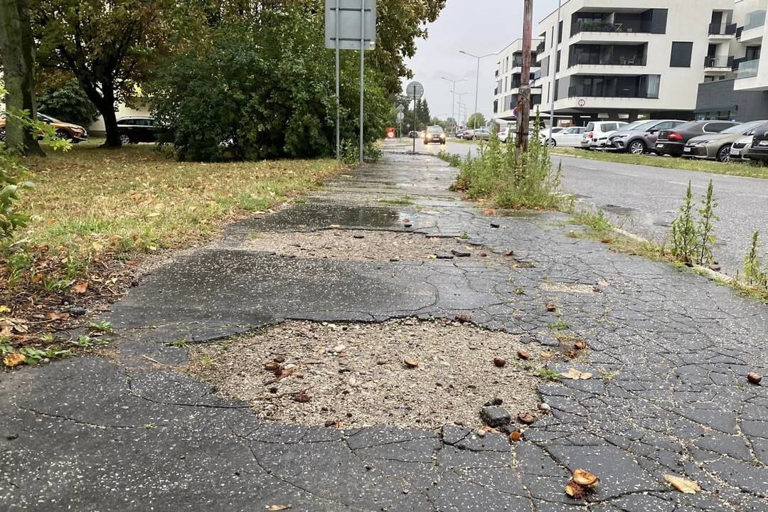 FOTO: Rekonštrukčné práce, foto 4